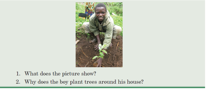 The boy plants trees around his house