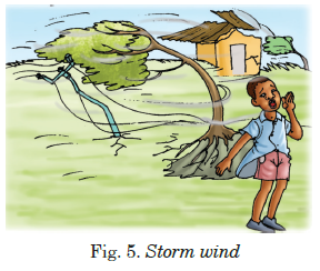 Storm wind