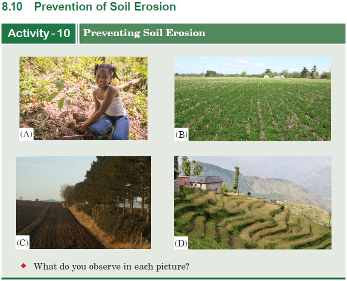 prevention of soil erosion