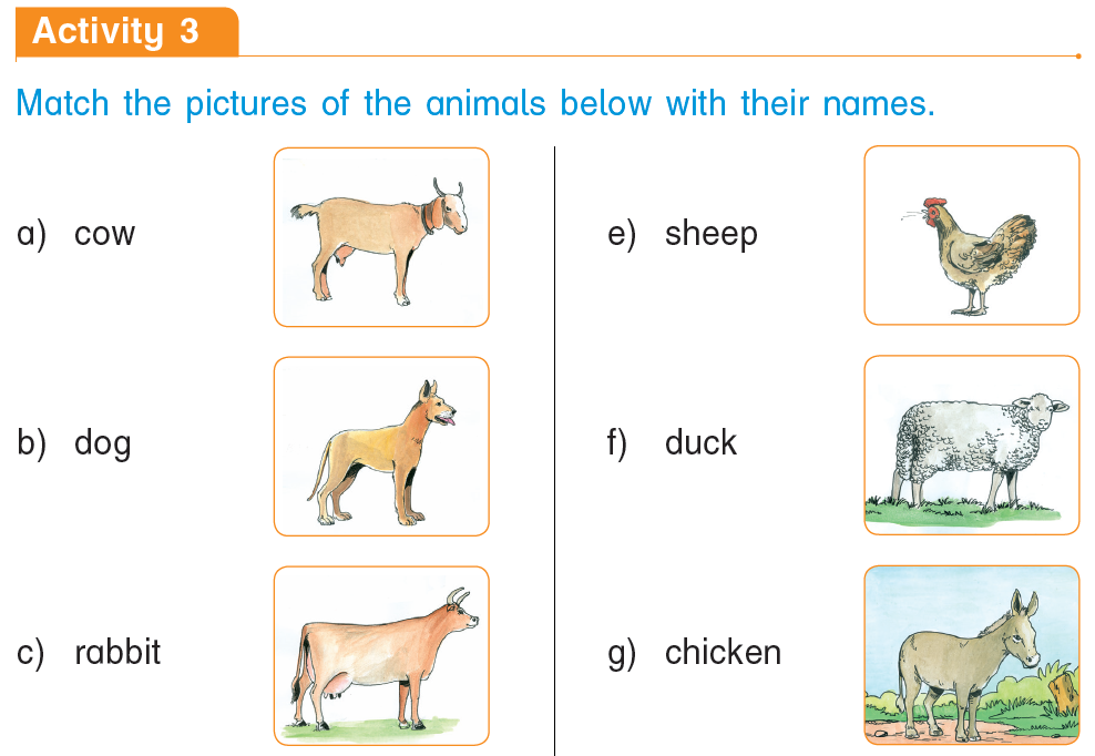 Course: English, Topic: UNIT 5 :Domestic animals