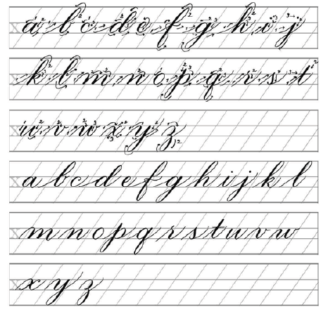 Fancy Copperplate Script Worksheet For Adult, Copperplate Calligraphy  Self-learning PDF With Guideline