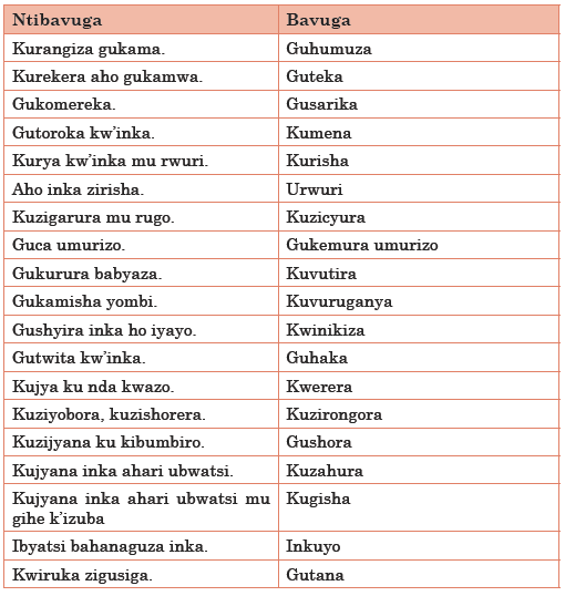 Course: Kinyarwanda LE & ECLPE copy 1