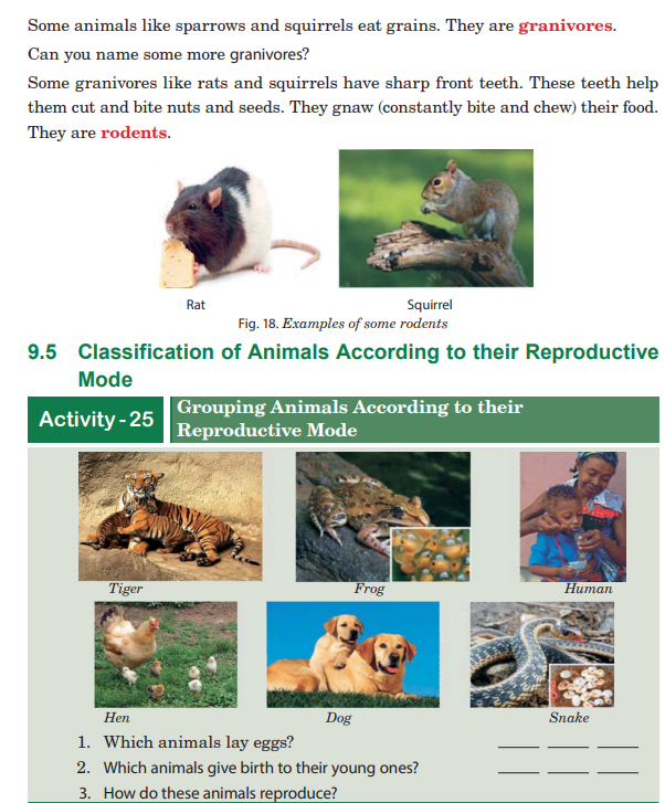 Course: Science and Elementary Technology, Topic: UNIT 9: Animals
