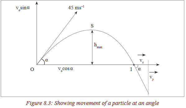Course: Physics, Topic: Unit 8: Projectile and uniform circular motion