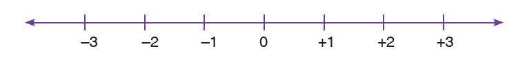 Integer Line