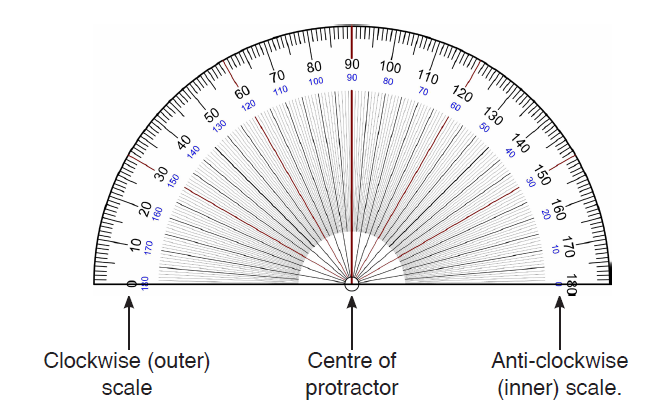 protrator