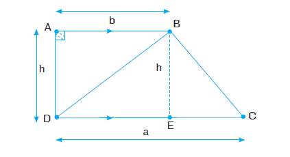 FORMS OF TRAPEZIUM