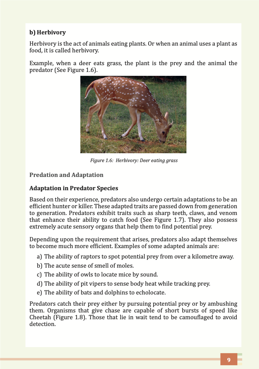 b) Herbivory 


Herbivory is the act of animals eating plants. Or when an animal uses a plant as 
food, it is called herbivory. 

Example, when a deer eats grass, the plant is the prey and the animal the 
predator (See Figure 1.6). 




 Figure 1.6: Herbivory: Deer eating grass

Predation and Adaptation

Adaptation in Predator Species

Based on their experience, predators also undergo certain adaptations to be an 
efficient hunter or killer. These adapted traits are passed down from generation 
to generation. Predators exhibit traits such as sharp teeth, claws, and venom 
that enhance their ability to catch food (See Figure 1.7). They also possess 
extremely acute sensory organs that help them to find potential prey.

Depending upon the requirement that arises, predators also adapt themselves 
to become much more efficient. Examples of some adapted animals are:

a) The ability of raptors to spot potential prey from over a kilometre away. 
b) The acute sense of smell of moles.
c) The ability of owls to locate mice by sound.
d) The ability of pit vipers to sense body heat while tracking prey.
e) The ability of bats and dolphins to echolocate.


Predators catch their prey either by pursuing potential prey or by ambushing 
them. Organisms that give chase are capable of short bursts of speed like 
Cheetah (Figure 1.8). Those that lie in wait tend to be camouflaged to avoid 
detection.
